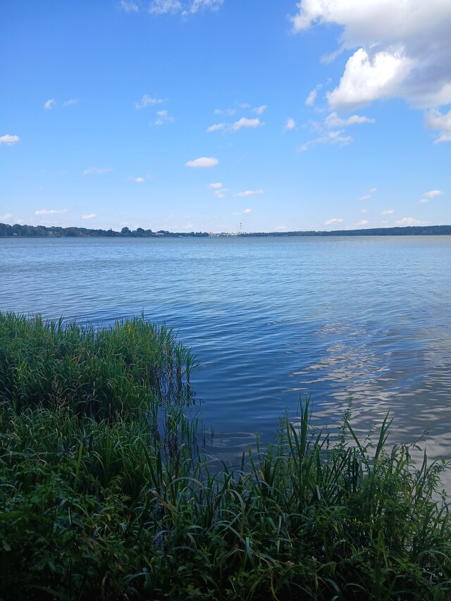 JaTyMyWyLublin19