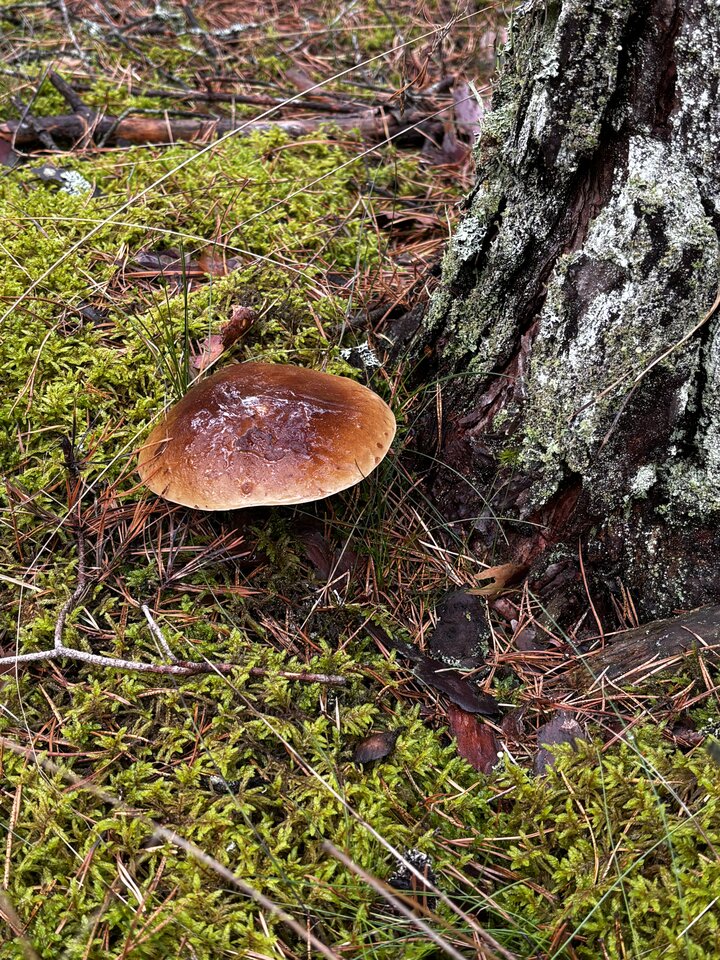 IMG_2114.jpeg - NaturystaXXX