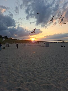SAVE_20260820_202548.jpg