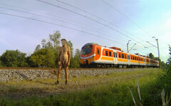 STARA WIEŚ - pociąg 20260706_0745.mp4_snapshot_00.32_[2026.07.