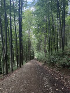 IMG_8357.jpeg