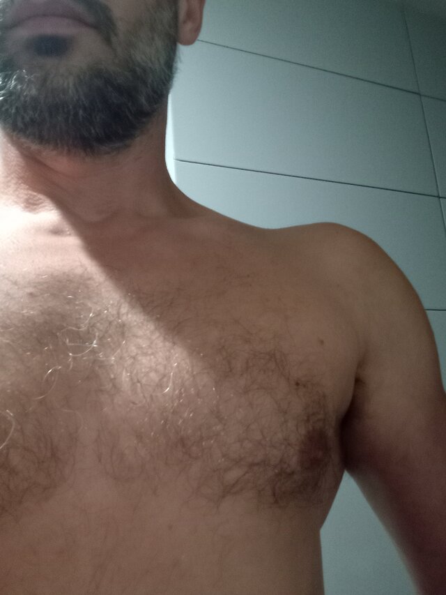 BULL85858500