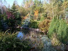 OBREB-JESIEN_2008_004.jpg