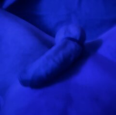 IMG_3571.jpeg