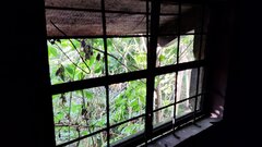 IMG__181832.jpg