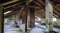 IMG_20220715_181713.jpg