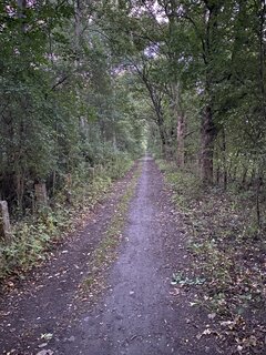 IMG_0580.jpeg
