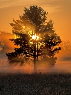 IMG_0794.jpeg