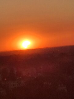 20260812_195553.jpg