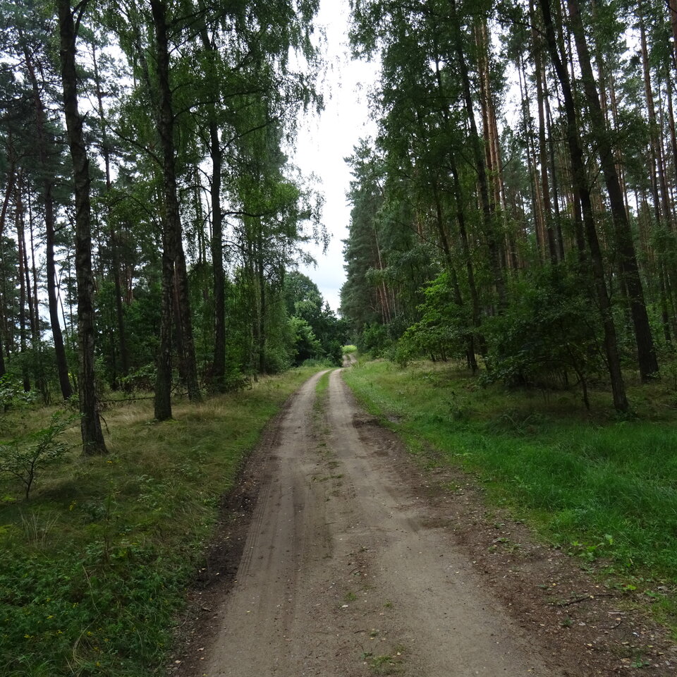 DSC05336.JPG - bojman8