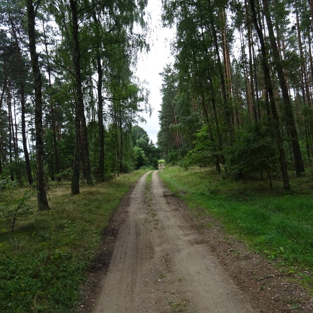 bojman8