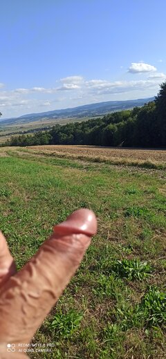 IMG_20260823_163705.jpg