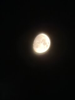 IMG_2847.jpeg