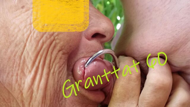 Granttat60