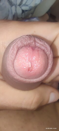 IMG_20260824_163516.jpg