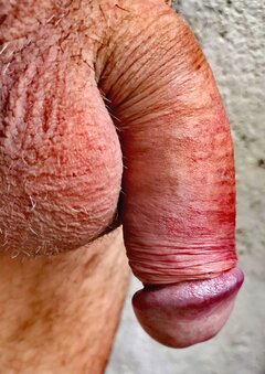 IMG_20260810_063436.jpg
