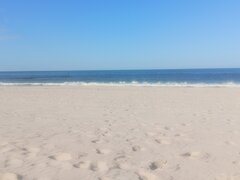 1000025089.jpg