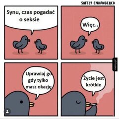 IMG_3960.jpeg
