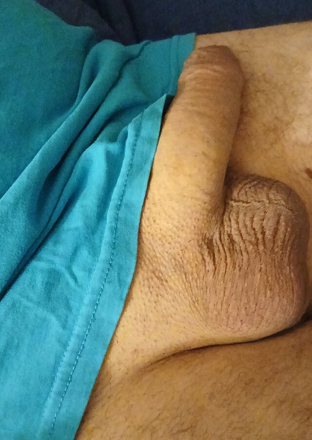 Tela88