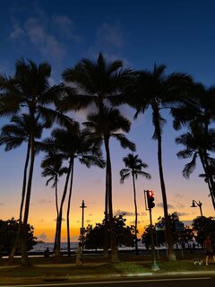 IMG_3256.jpeg