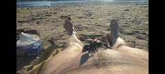 Plaż Wał Miedzeszyński