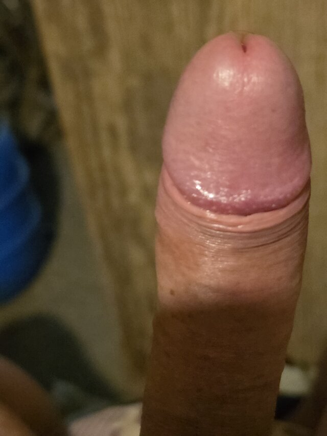 1963old