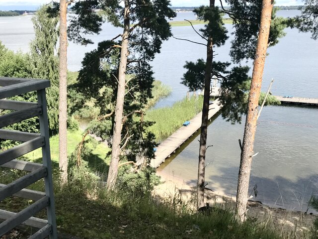 LadyLaura44