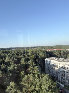 IMG_4341.jpeg