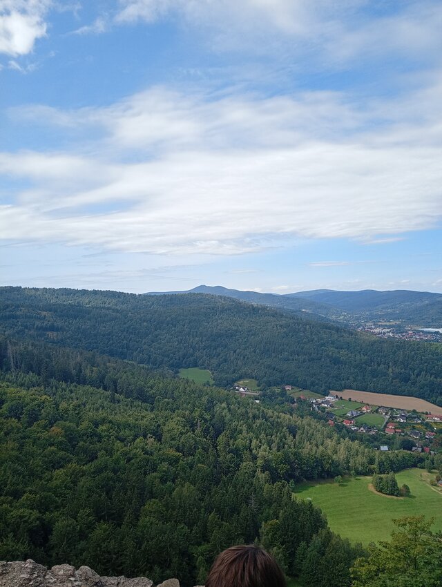 Robertxx1984