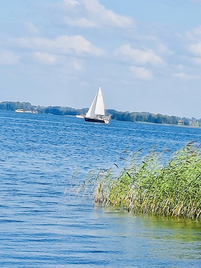 LadyLaura44
