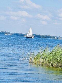 0DF909A2-BB48-400F-85E2-228D427AC9DE.jpeg