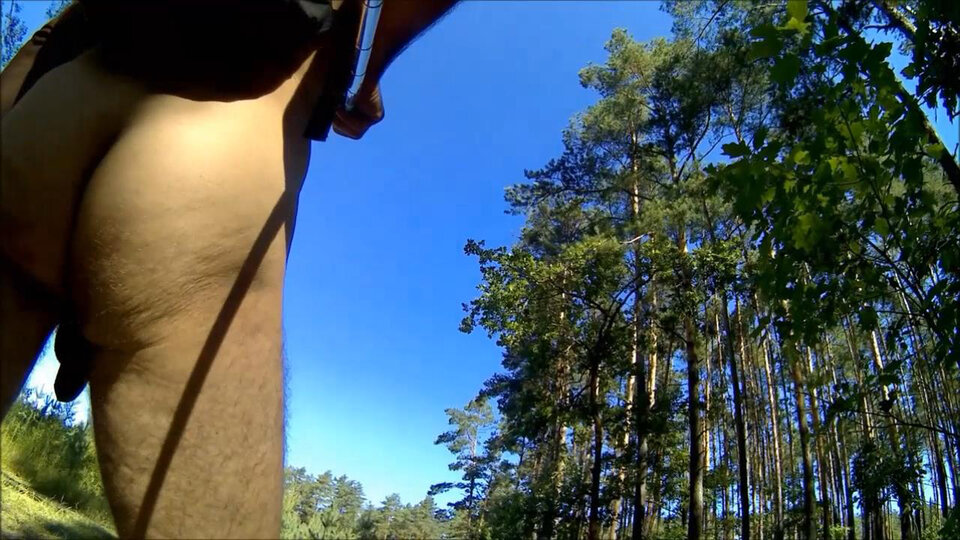BRYNICA - spacer w lesie 20260814_1018.mp4_snapshot_15.39_[2026. - Krzysztof_cfnm