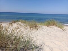IMG_20260827_135158.jpg