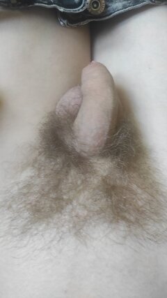 IMG_20260827_162507.jpg