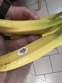 IMG_1242.jpeg