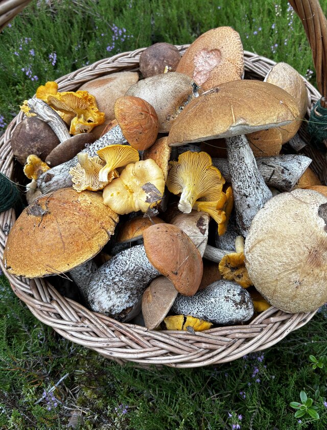 NaturystaXXX