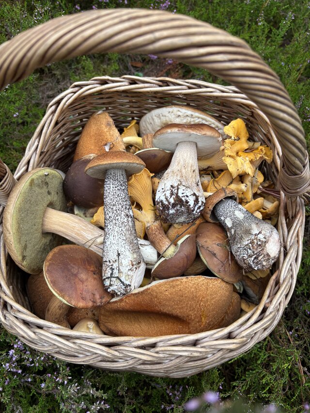 NaturystaXXX