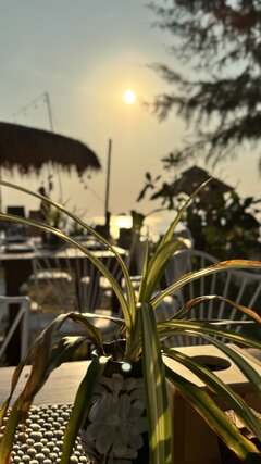IMG_1598.jpeg