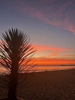 IMG_4027.jpeg