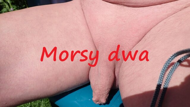 Morsy_dwa