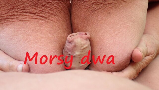 Morsy_dwa