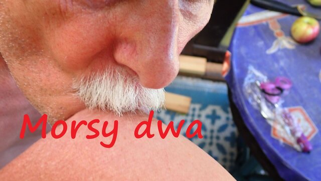 Morsy_dwa