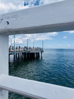 IMG_6031.jpeg