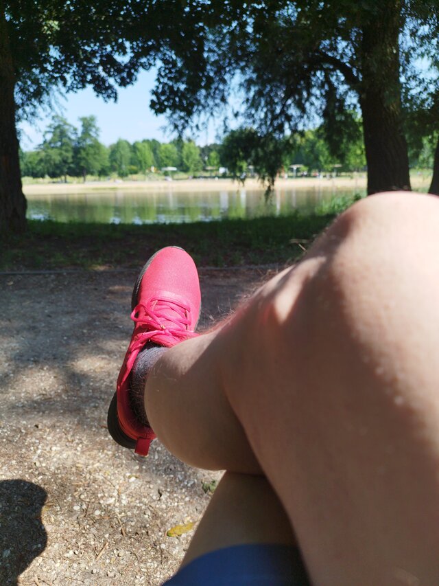 bolszewikojeb