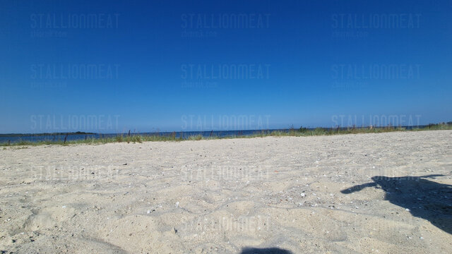 StallionMeat