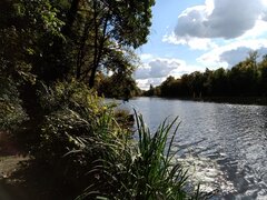 IMG_20220923_142036.jpg