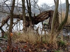 IMG_20221209_113827.jpg