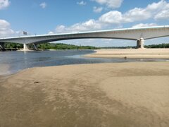 IMG_20220714_105715.jpg