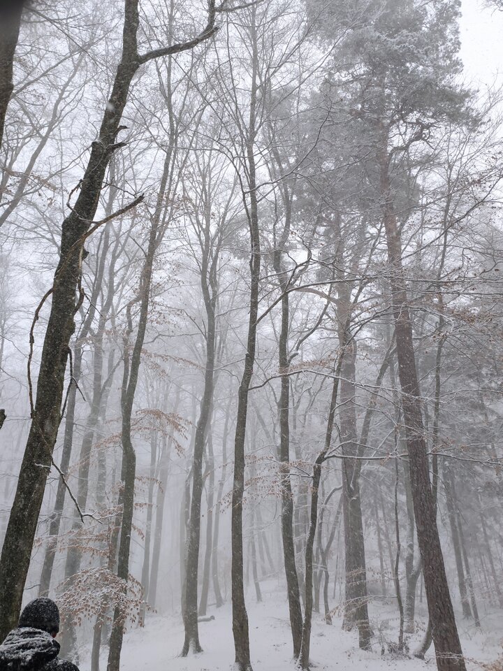1000003167.jpg - Szukamcuckold90