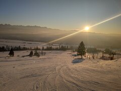 3e17372a-4dee-41f8-8b24-6c958c4ea9d1-1_all_2819.jpg